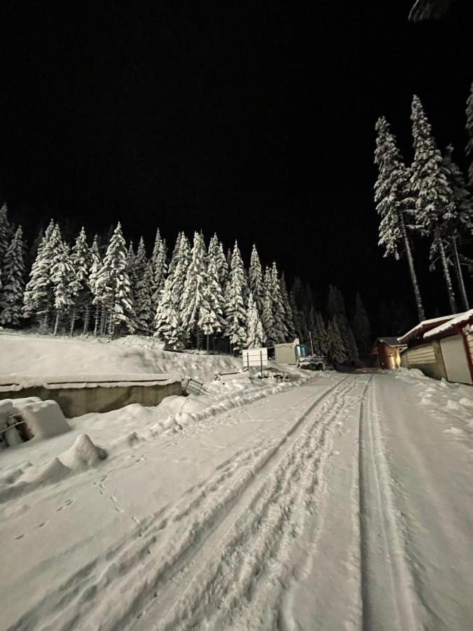 Cozy Apartment B35 In Grand Resort Pamporovo Esterno foto