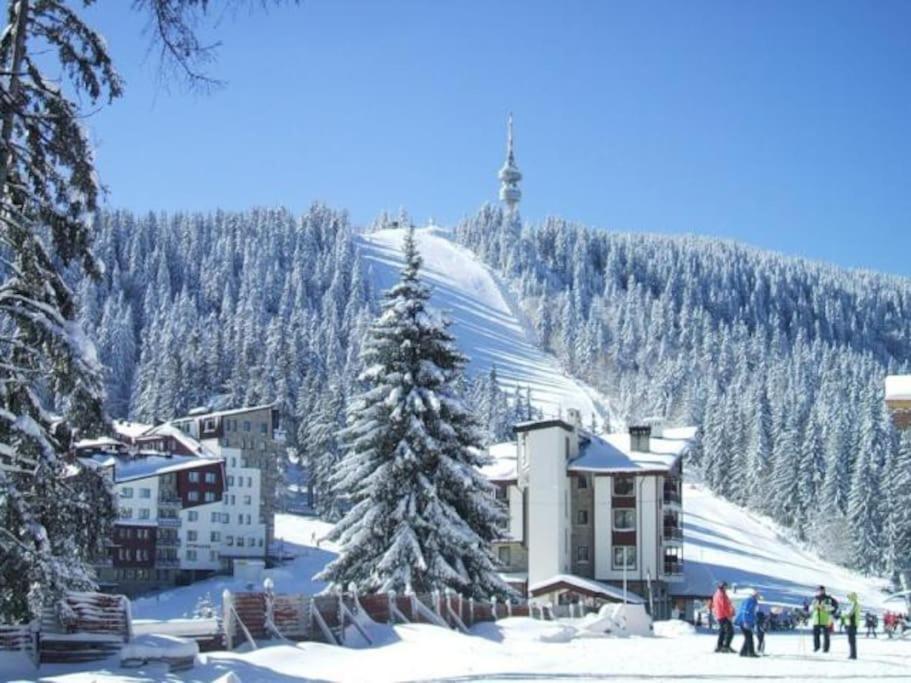 Cozy Apartment B35 In Grand Resort Pamporovo Esterno foto